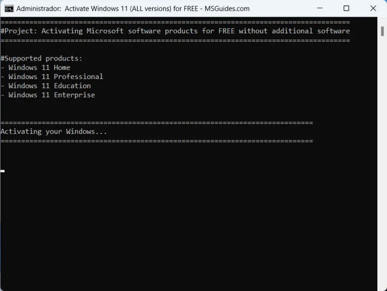 Windows 11 Activator